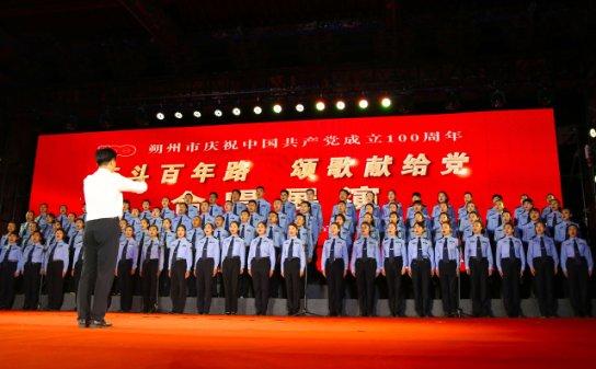 养鸽子别顺其自然
